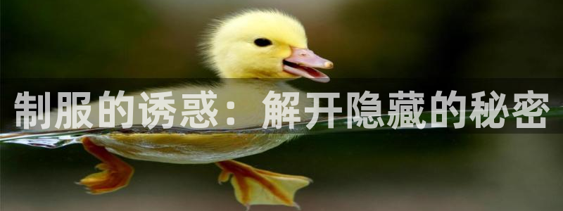 禁漫天堂在线看免费