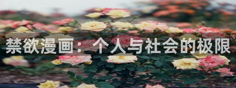 禁漫天堂官网在线下载