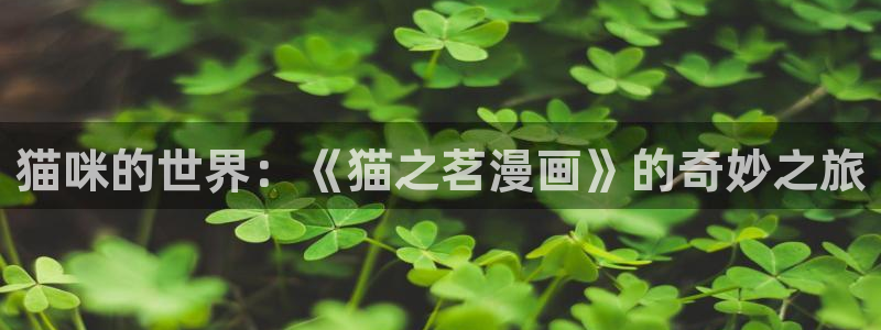 禁漫天堂在线免费