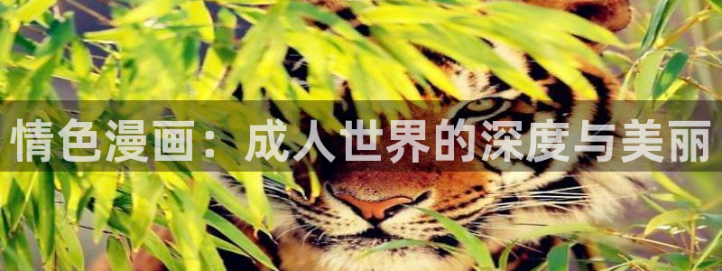 禁漫天堂官方入口