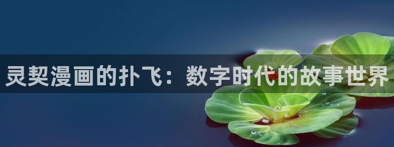 禁漫天堂需要用什么加速器
